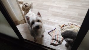 夜のお時間　2026/1/19