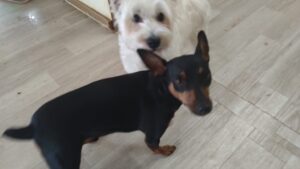 午前のお時間　2026/1/20