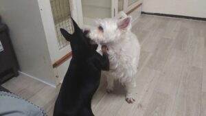 夜のお時間　2026/1/20