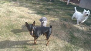 午前のお時間　2026/1/21