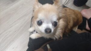 夜のお時間　2026/1/21