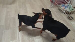 午前のお時間　2026/1/22