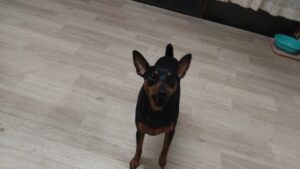 夜のお時間　2026/1/22