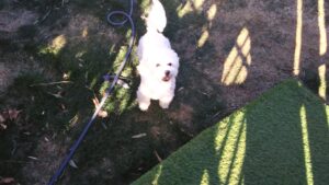 午前のお時間　2026/1/23