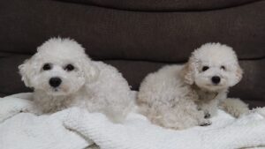 夜のお時間　2026/1/23