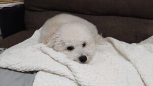 午前のお時間　2026/1/24