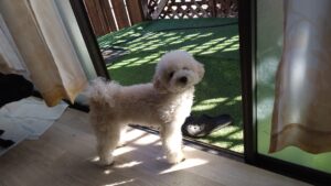 朝のお時間　2026/1/25