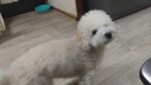 夜のお時間　2026/1/25