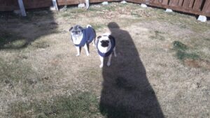 午前のお時間　2026/1/26