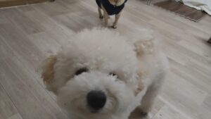 夜のお時間　2026/1/26