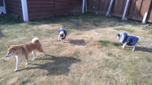 午前のお時間　2026/1/27