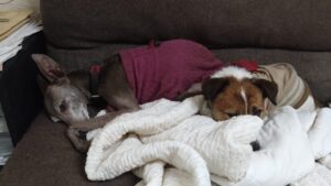 夜のお時間　2026/1/27