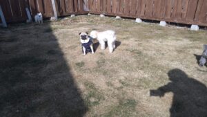 午前のお時間　2026/1/28