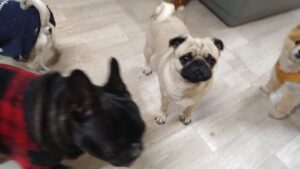 夜のお時間　2026/1/28