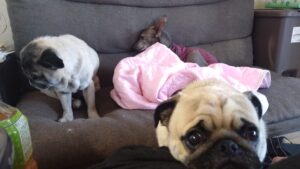 午前のお時間　2026/1/29