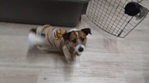 夜のお時間　2026/1/29