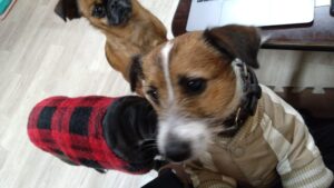 夜のお時間　2026/1/30