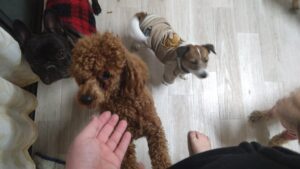 夜のお時間　2026/1/31