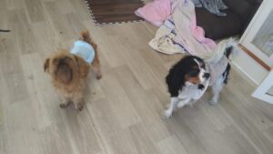 午前のお時間　2026/1/31