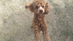 午前のお時間　2026/2/2