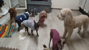 夜のお時間　2026/2/2