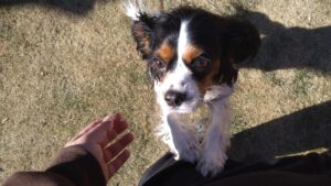 午前のお時間　2026/2/3