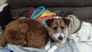 夜のお時間　2026/2/3