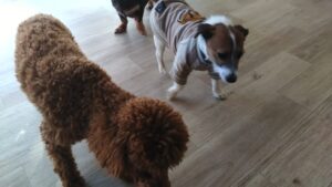 朝のお時間　2026/2/4