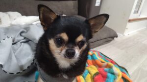 夜のお時間　2026/2/4