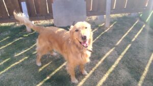 朝のお時間　2026/2/5