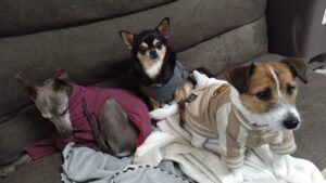 夜のお時間　2026/2/5