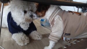 午前のお時間　2026/2/6