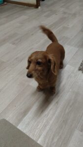 夜のお時間　2026/2/6