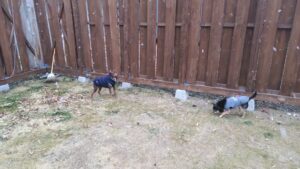 午前のお時間　2026/2/7