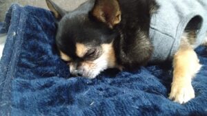 夜のお時間　2026/2/7