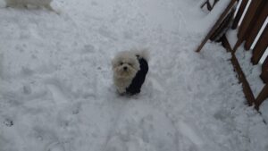 午前のお時間　2026/2/8