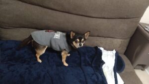 夜のお時間　2026/2/8