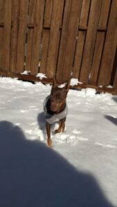 午前のお時間　2026/2/9