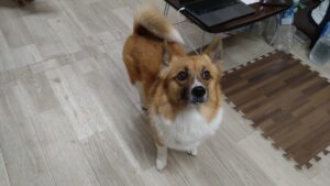 夜のお時間　2026/2/9