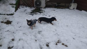 午前のお時間　2026/2/10