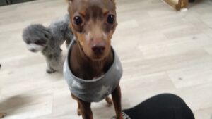 夜のお時間　2026/2/10