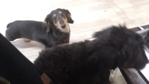 午前のお時間　2026/2/11