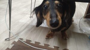 夜のお時間　2026/2/11