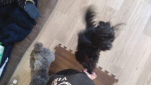 午前のお時間　2026/1/12