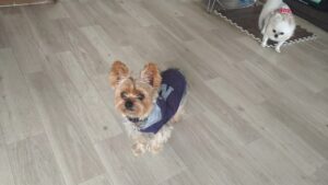 午前のお時間　2026/2/16