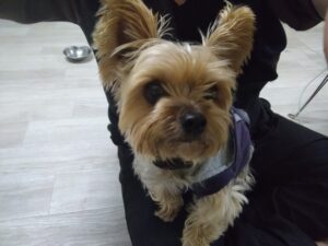 夜のお時間　2026/2/16