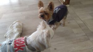 午前のお時間　2026/2/17