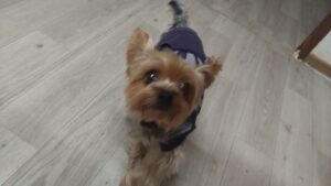 夜のお時間　2026/2/17