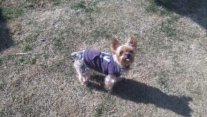 午前のお時間　2026/2/18