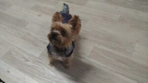 夜のお時間　2025/2/18